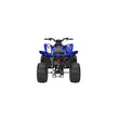 Cargar imagen en el visor de la galería, YFM110R 2025