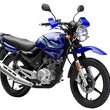 Cargar imagen en el visor de la galería, YBR 125G 2025