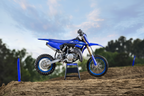 YZ65 2026